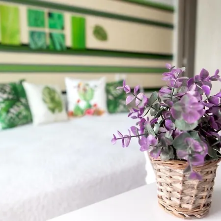 Apartment Modern 1br Wifi Breathtaking Oceanviews By Huespedia *